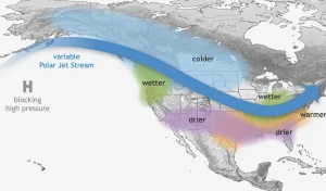 La Niña year: Alabama producers expect to experience warm winter
