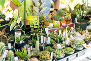 The Market at MidCity returns for seventh season