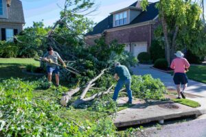Clean up continues from last week’s EF-2 tornado that hit parts of Madison