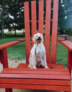 Did you know? Huntsville Botanical Garden hosts pet-friendly days and events