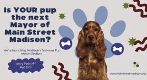 Madison residents asked to nominate candidates for city’s first “Pup Mayor”