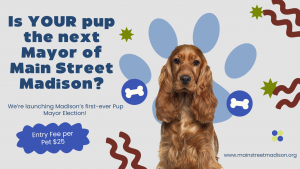 Madison residents asked to nominate candidates for city’s first “Pup Mayor”