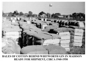 Burgreen Road and Cotton Gin