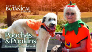 Festifall at Huntsville Botanical Garden celebrates autumn with vibrant events
