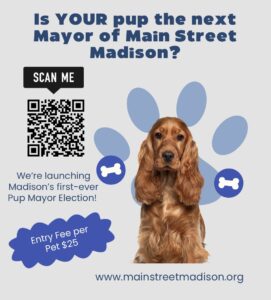 Fourteen canine candidates entered into Madison’s first “Pup Mayor” election
