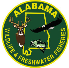 Deer hunting season facts and figures for 2025