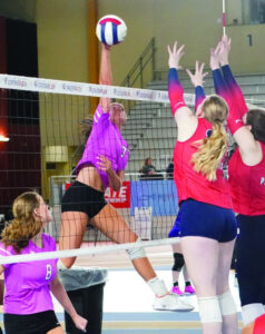 Lady Patriots exhibit “true grit” in State Tournament