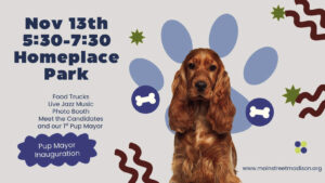 Madison to name and celebrate first “Pup Mayor” with “Paw-ty” Thursday