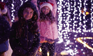 Galaxy of lights celebrates 30 years of holiday tradition at Huntsville Botanical Garden