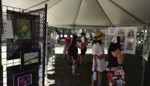All ages, abilities exhibit their work in Artist Alley and Student Art Tent