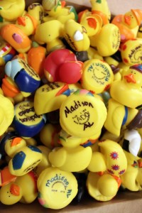 West Madison students initialed the bottom of each duck. (CONTRIBUTED) 