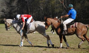 Emily Bohatch retrieves the ball during a tournament in Atlanta with the Tennessee Valley Polocrosse Club. (CONTRIBUTED) 