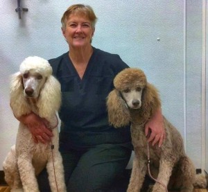 Pam Sechrest visits with her freshly groomed standard poodles, Rose and Tansy, at Bodacious Pet Spa. (CONTRIBUTED) 