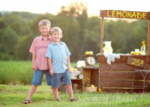 In this photo by Dana Atherton, her sons Evan and Elliot work at their lemonade stand. (PHOTO/DANA ATHERTON)