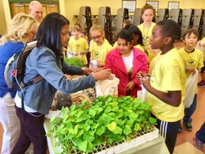 During Childhood Obesity Awareness Day, Heritage students took squash and tomato plants, supplied by Deep Roots, for home planting. (CONTRIBUTED) 