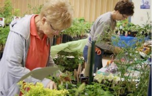 Master Gardeners of North Alabama will present its annual plant sale on April 25 from 8 a.m. to 1 p.m. at the Madison County Extension Office, 819 Cook Ave. in Huntsville. (CONTRIBUTED) 