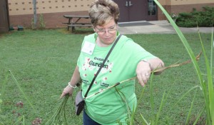 Deb Widner of Cullman works on an assignment at Clay-Chalkville High School's outdoor classroom during the 2014 "Ag in the Classroom" Summer Institute. (CONTRIBUTED) 