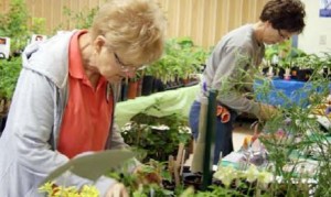 Master Gardeners of North Alabama (MGNA) members Patsy Connor and Janet Boothe set up the 2015 MGNA Plant Sale and Garden Fair. CONTRIBUTED