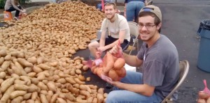 Volunteers can help in bagging 20,000 pounds of sweet potatoes on May 14 at 9 a.m. at Madison United Methodist Church. CONTRIBUTED