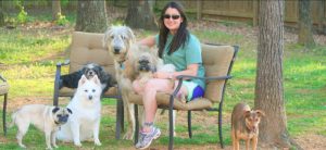 Melissa Cox, author of "How to Safely Greet Dogs," visits with her Irish Wolfhound, Kya, and Shih Tzu, Lily, along with boarding guests Sophie (from left), a pug; Jake, American Eskimo; Jake and Suzie-Q (in chair), Shih Tzu; and Columbus, miniature pincher mix. CONTRIBUTED