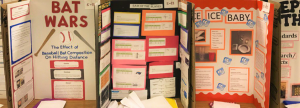 The 2017 Science Fair at Columbia Elementary School spurred students to investigate and explore. CONTRIBUTED